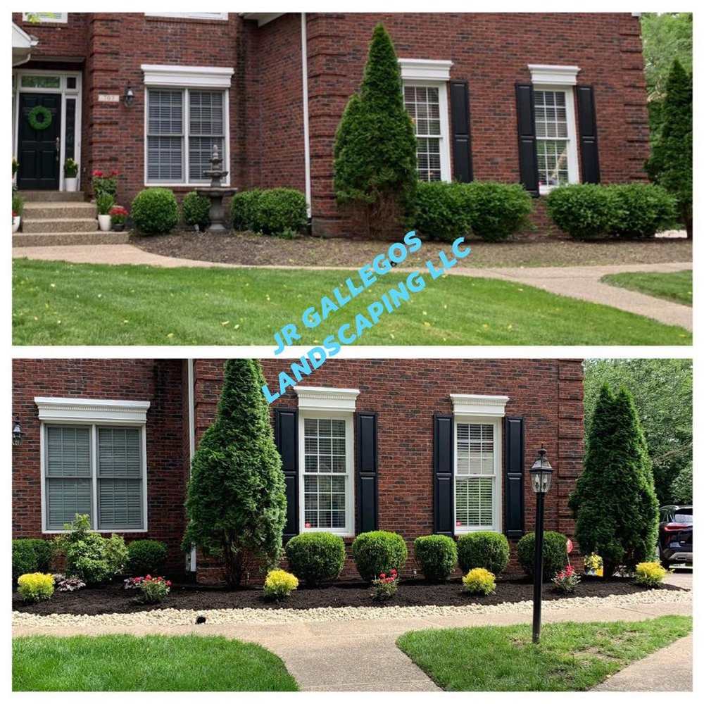 A stacked before-and-after of the same red brick house: above, overgrown shrubs and bare soil along the front; below, a new bed with dark mulch, a white stone border, clipped boxwoods, tall evergreens and flowering plants.