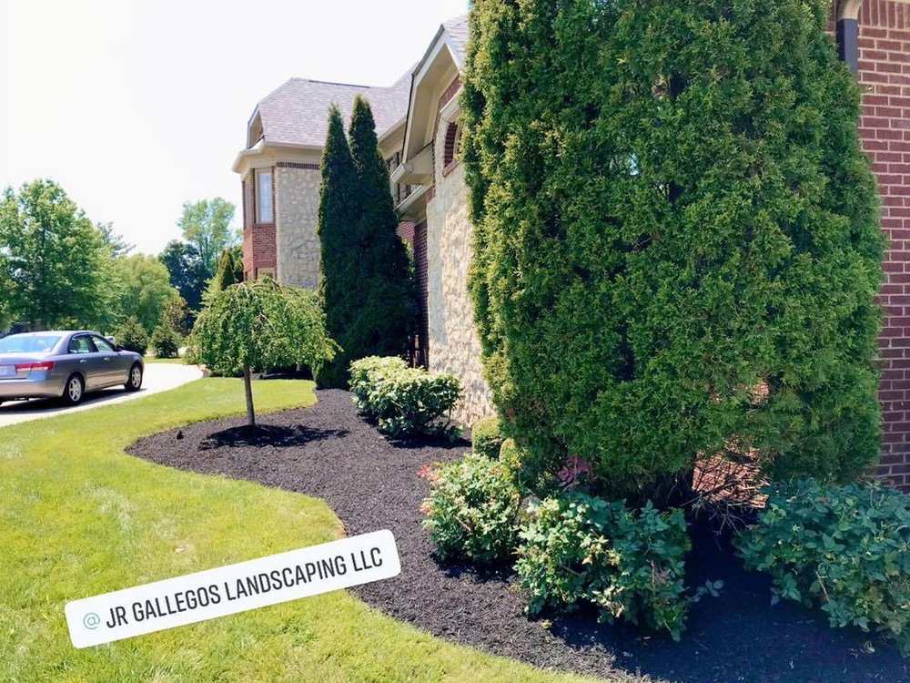 The front of a large brick and stone house with a deep mulched bed running along it, planted with tall evergreens and layered flowering shrubs.